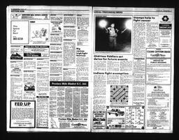 Castlegar News 1991-01-30, page 8