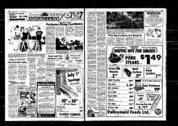 Castlegar News 1979-06-28, page 3
