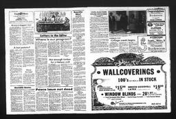 Castlegar News 1985-11-03, page 3