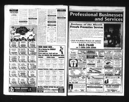   Castlegar Sun 1995-10-25   , page 17
