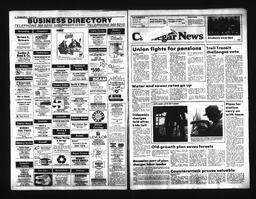 Castlegar News 1991-01-03, page 8