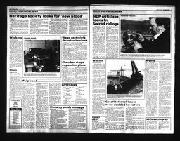 Castlegar News 1991-03-02, page 2