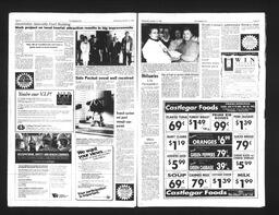   Castlegar Sun 1993-01-13   , page 3
