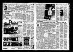 Castlegar News 1982-08-08, page 2