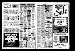Castlegar News 1980-06-18, page 12