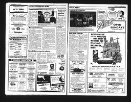 Castlegar News 1990-10-27, page 8