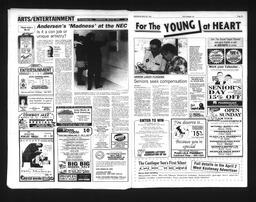   Castlegar Sun 1995-03-29   , page 13