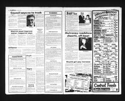 Castlegar News 1989-03-15, page 2