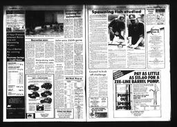 Castlegar News 1984-05-02, page 6