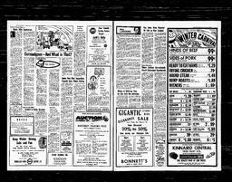 Castlegar News 1976-01-29, page 3