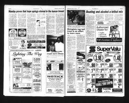   Castlegar Sun 1995-08-16   , page 10