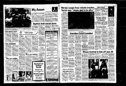 Castlegar News 1980-06-08, page 2