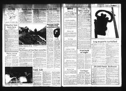 Castlegar News 1984-11-18, page 2