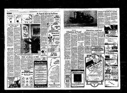 Castlegar News 1982-01-17, page 3
