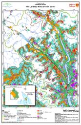 Friends of the Lardeau River GIS & Mapping Support Project - Forest Cover Map