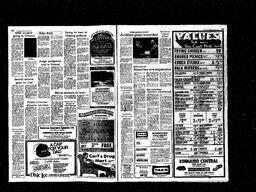 Castlegar News 1981-06-17, page 2