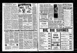 Castlegar News 1964-06-25, page 3