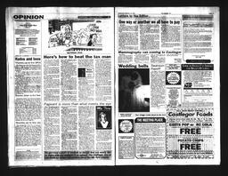   Castlegar Sun 1994-02-16   , page 4
