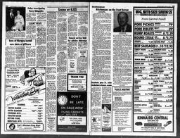 Castlegar News 1980-02-06, page 2