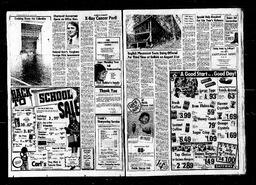 Castlegar News 1977-08-18, page 2