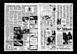 Castlegar News 1980-08-06, page 8