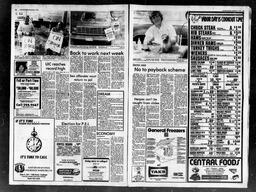 Castlegar News 1982-09-01, page 2