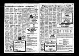 Castlegar News 1980-11-02, page 4