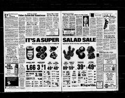 Castlegar News 1976-07-15, page 3