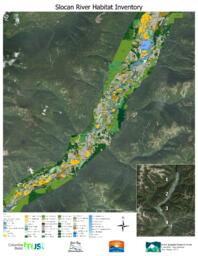 Slocan River Streamkeepers - Sensitive Ecosystem Inventory: Section 2