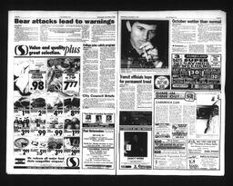   Castlegar Sun 1995-11-08   , page 3