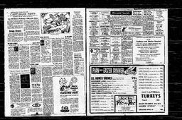 Castlegar News 1966-04-06, page 3