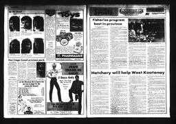 Castlegar News 1984-11-07, page 5