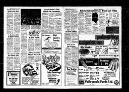 Castlegar News 1979-02-01, page 4