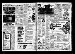 Castlegar News 1977-07-14, page 2