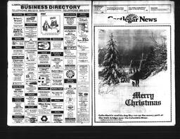 Castlegar News 1990-12-19, page 9