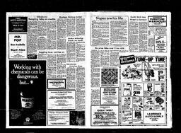 Castlegar News 1982-03-24, page 8