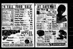 Castlegar News 1966-10-27, page 2