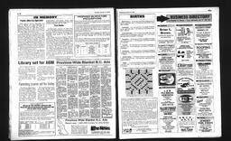 Castlegar News 1993-01-16, page 10