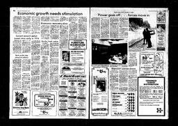 Castlegar News 1980-12-10, page 4