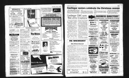 Castlegar News 1993-01-06, page 8