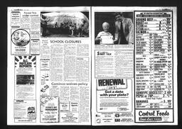Castlegar News 1986-06-11, page 2