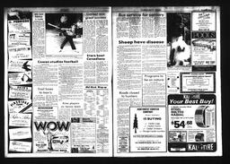 Castlegar News 1984-06-13, page 6