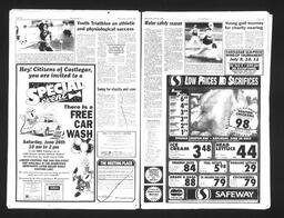   Castlegar Sun 1993-06-23   , page 6