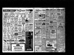Castlegar News 1981-06-28, page 8