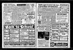 Castlegar News 1965-09-02, page 2