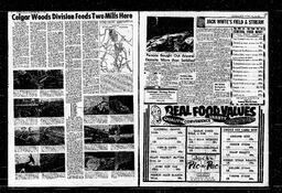 Castlegar News 1964-08-13, page 3