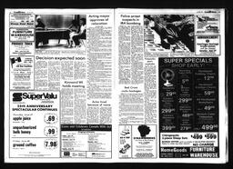 Castlegar News 1985-06-26, page 3