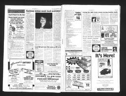   Castlegar Sun 1993-11-03   , page 11