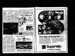 Castlegar News 1981-03-22, page 13