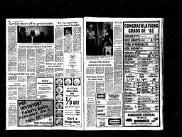 Castlegar News 1981-06-10, page 2